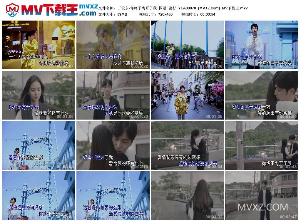 丁俊东-你终于离开了我_国语_流行_YEA00070